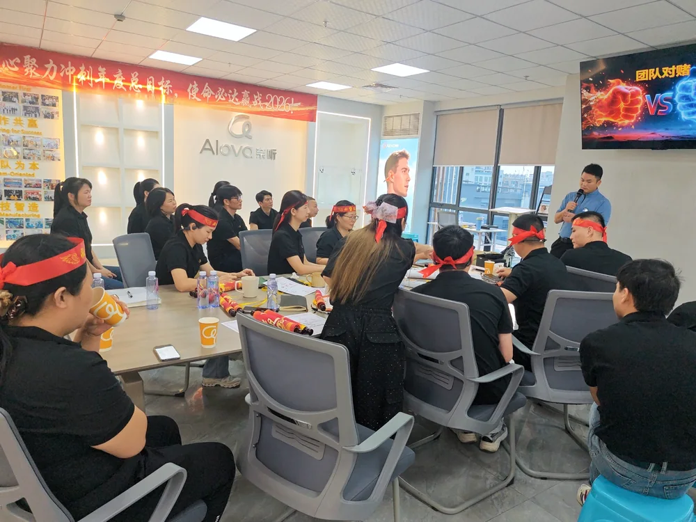 Alova team sharing and discussing company goals
